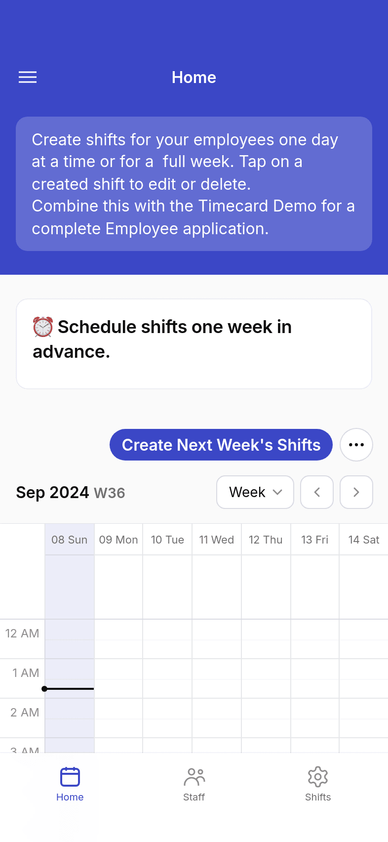 Employee Scheduling Demo Template